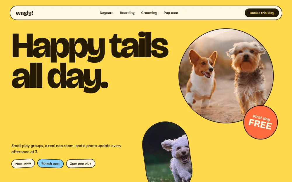 Dog daycare website concept by TintBridge